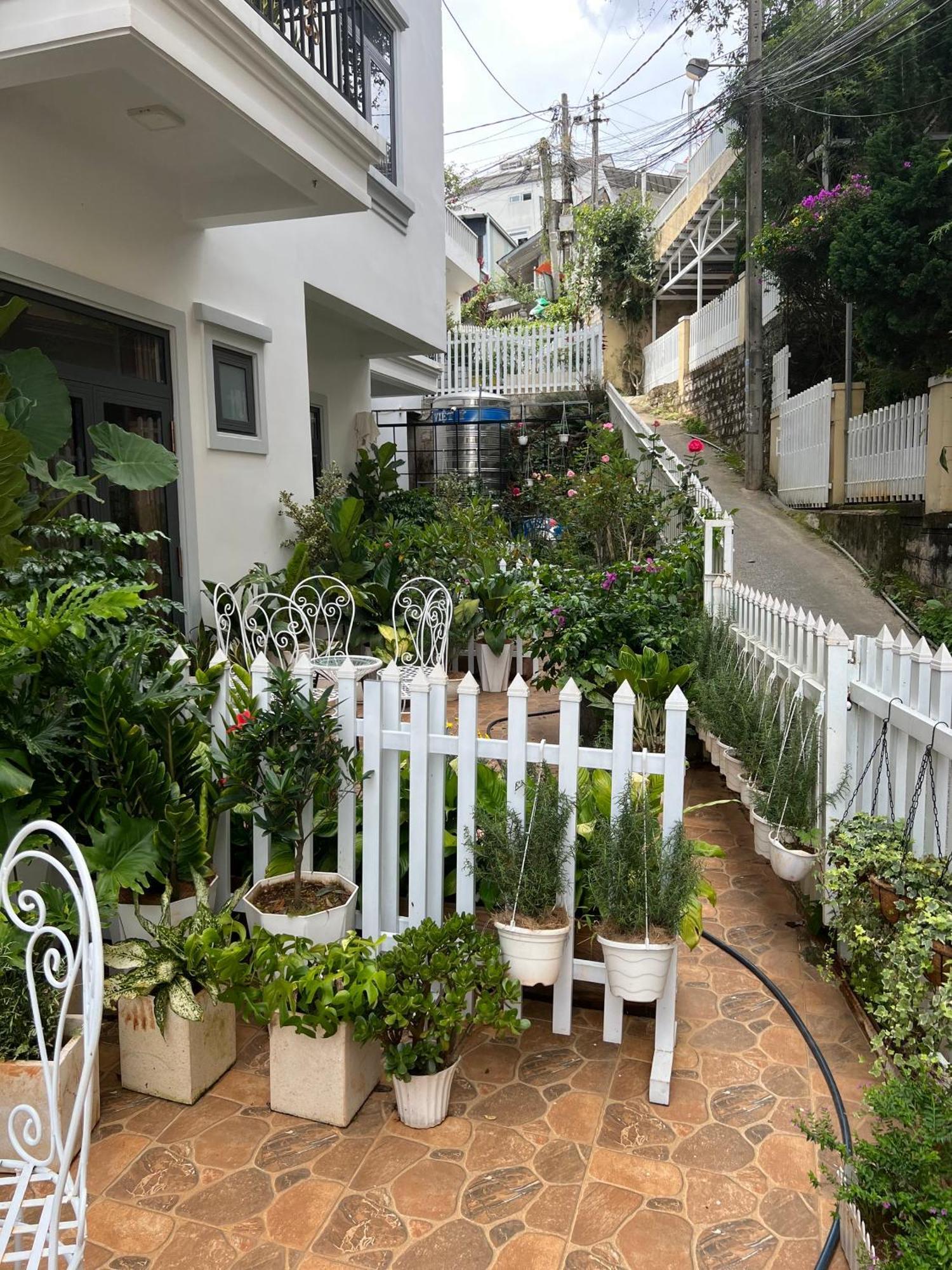 דה לאט Hera Boutique Hotel מראה חיצוני תמונה